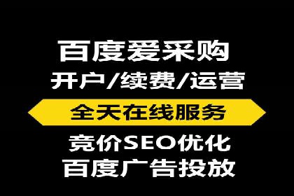 竞价推广策略解析：实战案例分析