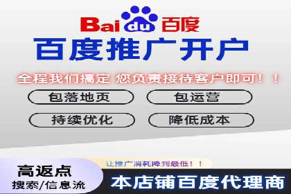 揭秘百度包年竞价优势：成功案例深度解析
